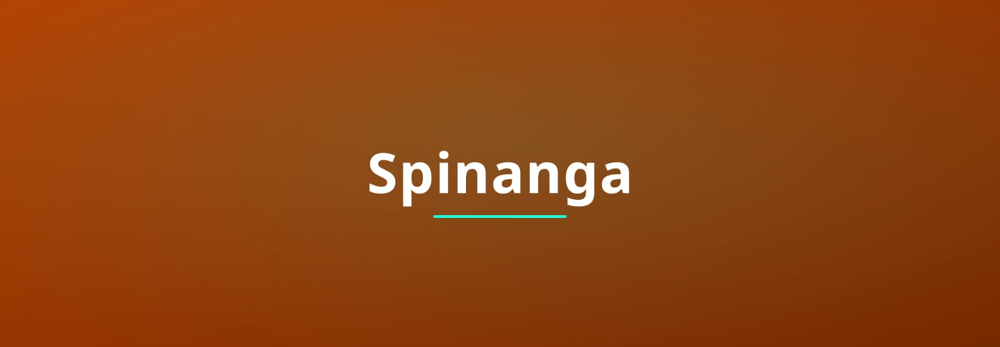 spinanga - interface officielle